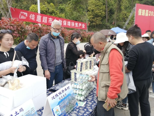 스포츠 분석 분석