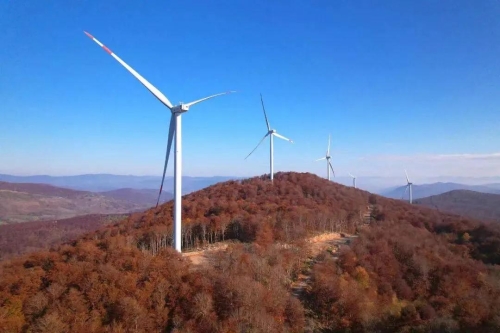스포츠 분석