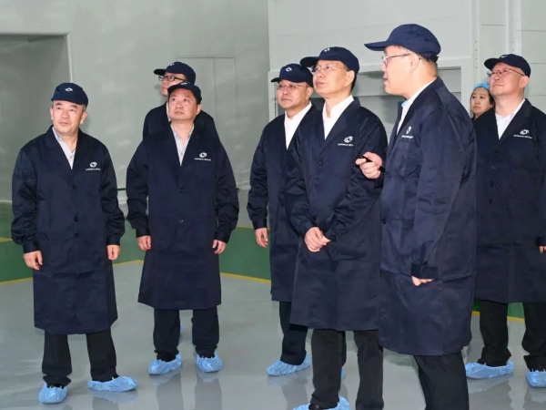 스포츠 토토
