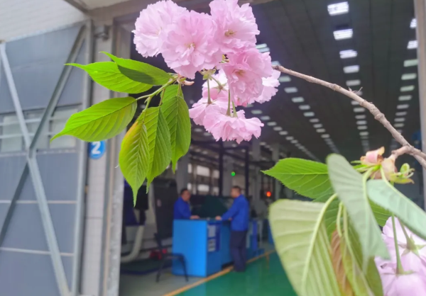 스포츠 분석