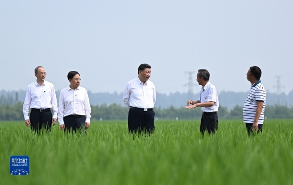 스포츠 무료 무료