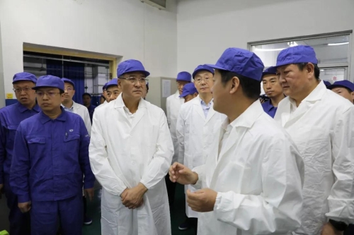 스포츠 토토 토토