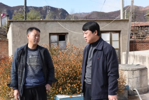 스포츠 분석
