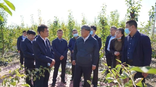 스포츠 무료 무료