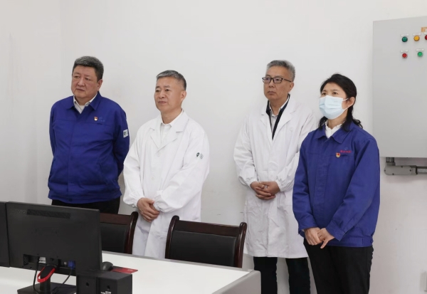 스포츠 토토