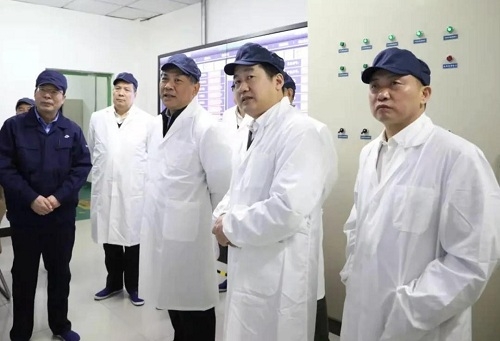 스포츠 토토