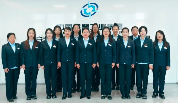 스포츠 무료