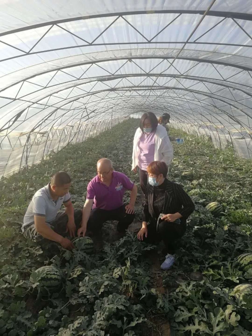 스포츠 분석 분석